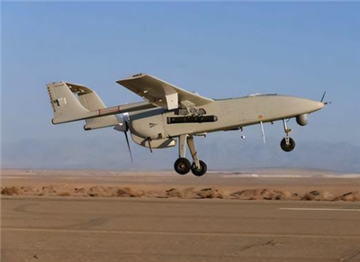 What are the weapons and methods to deal with drones?