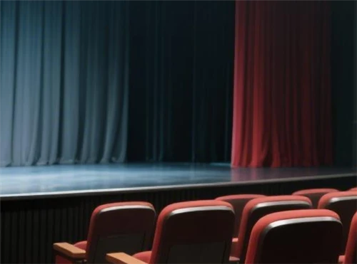 Digital Signal Shielding System: The Guardian Of The Artistic Experience in Cinemas